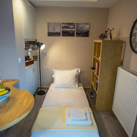 Panoramic Luxurious Penthouse Daire Argostolion